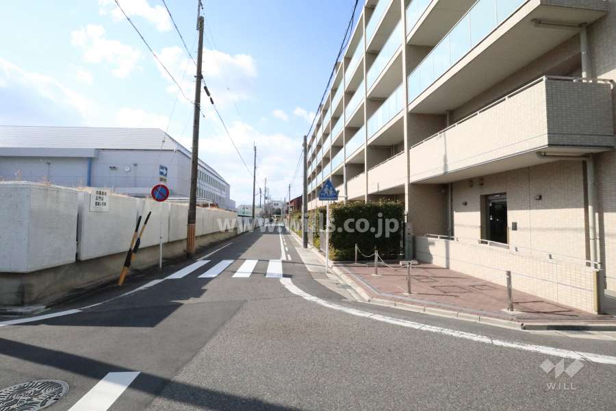 敷地南側の前面道路