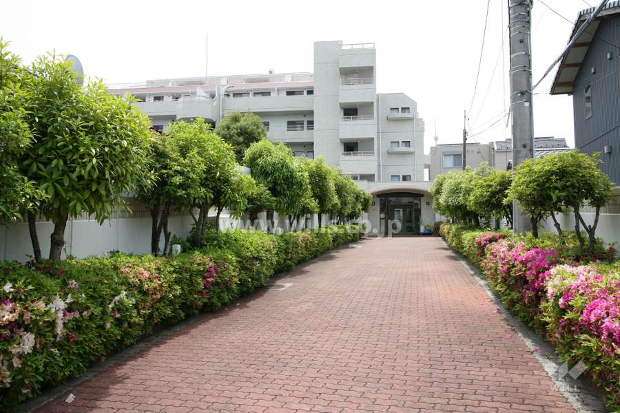 雪見町スカイマンションの外観(南側から)