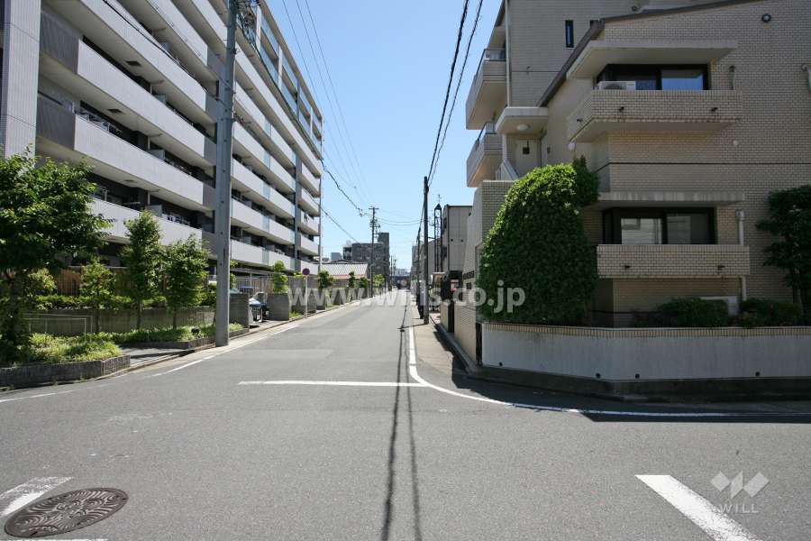 敷地北側の前面道路