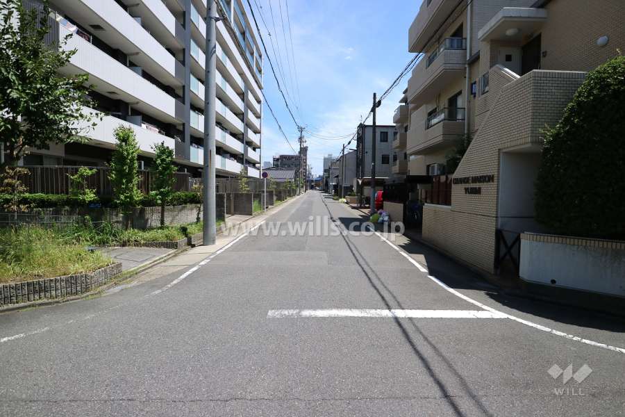 敷地南側の前面道路(西側から)