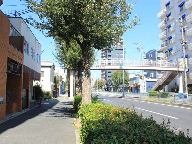 敷地東側の前面道路