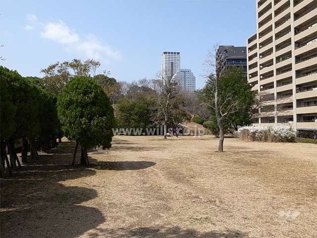 敷地南側は千里東公園に面しています。
