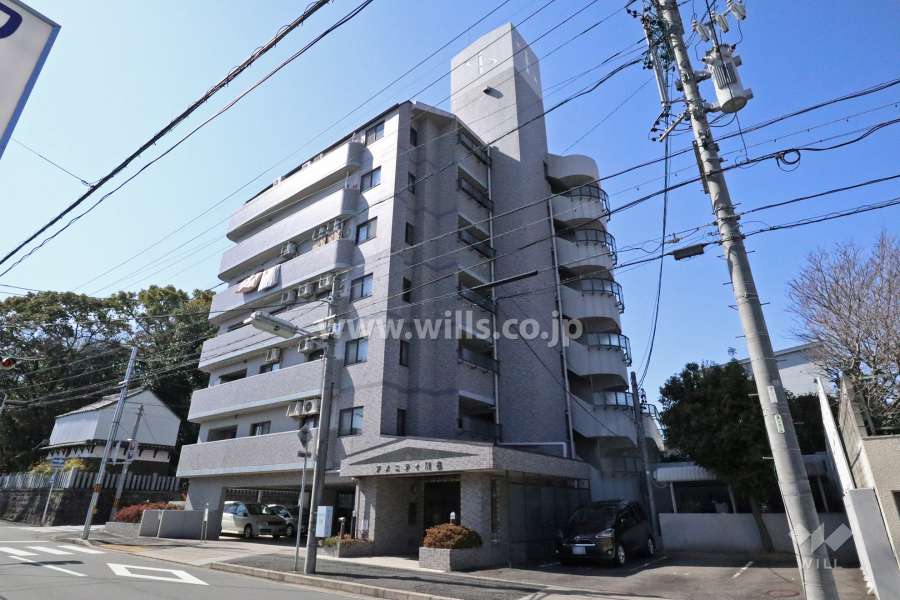 アメニティ川名の外観（北東側から）