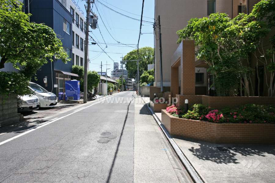 敷地北側の前面道路