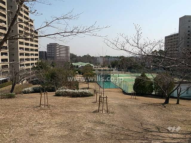 敷地南側は千里東公園に面しています。