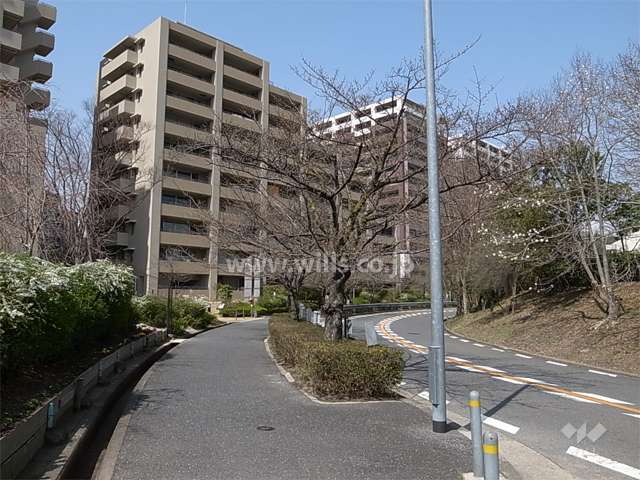 敷地東側の前面道路。歩道のある街路樹がきれいな通りです。