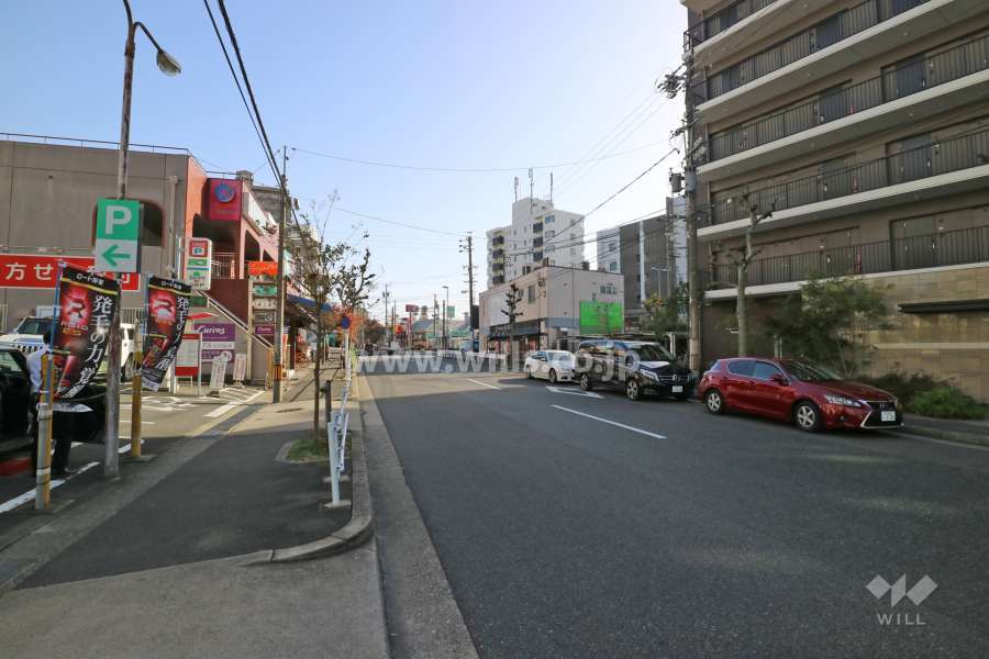 敷地南西側の前面道路（北西側から）