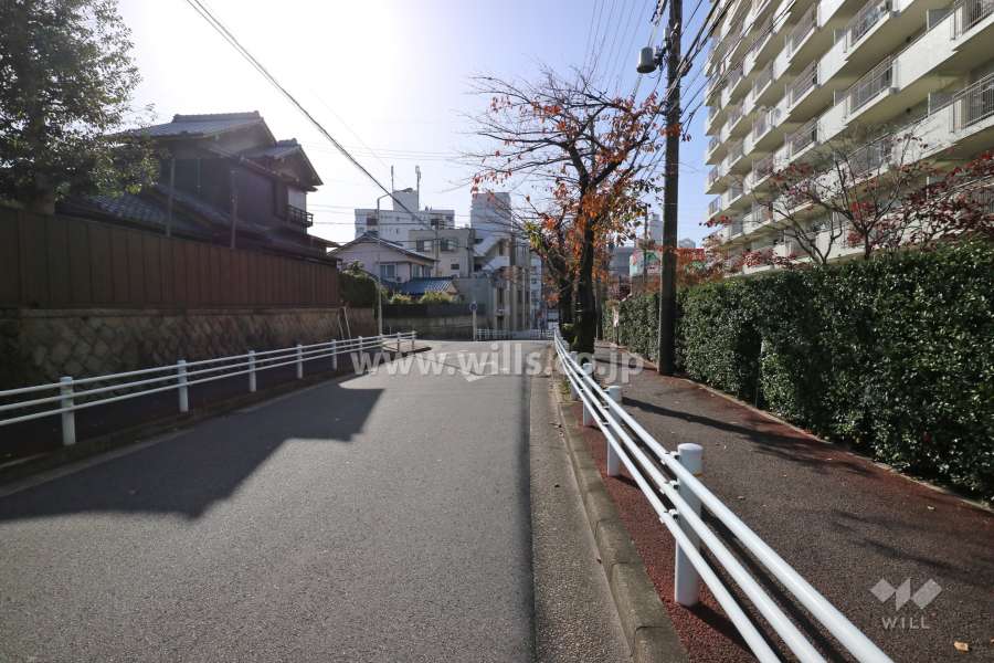 敷地南東側の前面道路（北東側から）