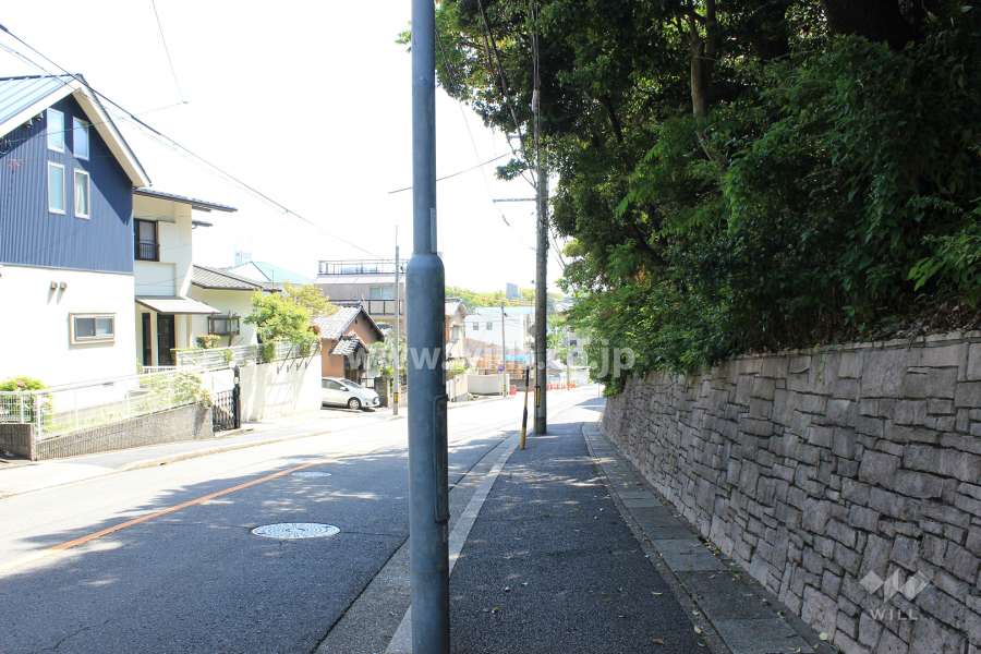 敷地東側の前面道路