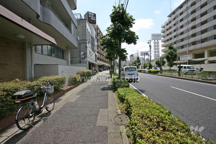 敷地南側の前面道路