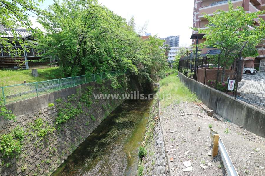敷地東側は天竺川に面しています。