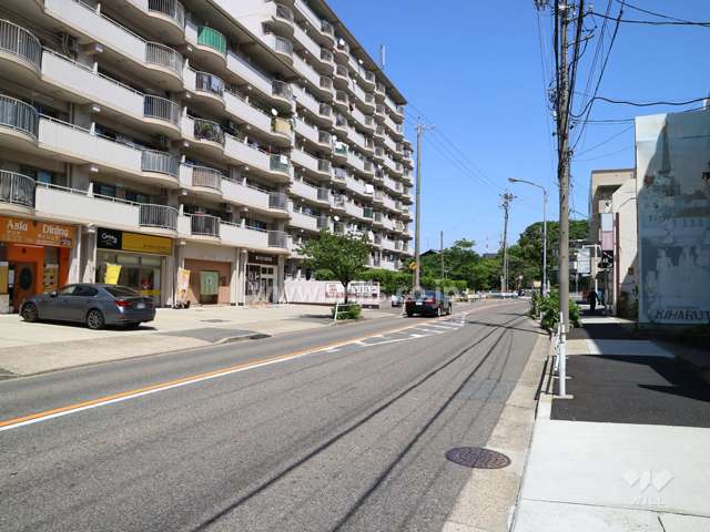 敷地の南側前面道路（西側から）