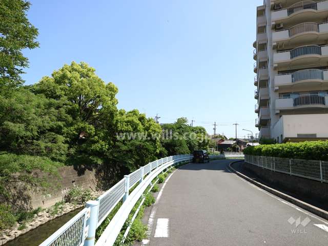 敷地の東側前面道路（北側から）