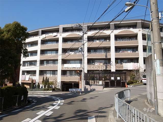 レイス緑地公園アロマガーデンの外観（南側から）