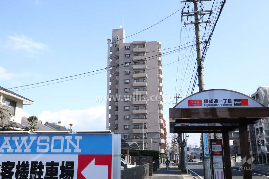 ダイアパレス桜山の外観（西側から）
