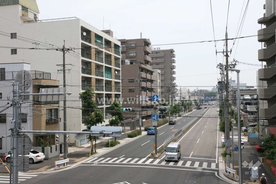ソフィア藤成通の遠景
