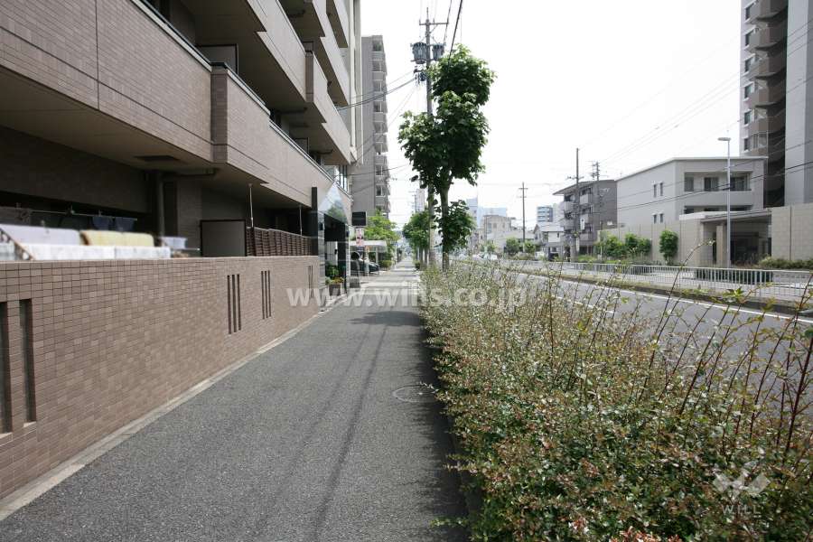 敷地南側の前面道路(藤成通)