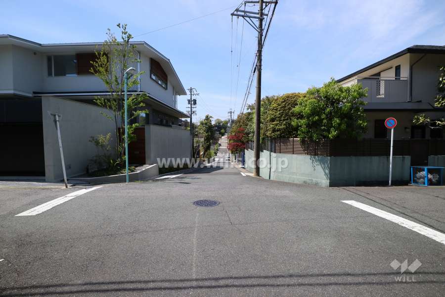 南東側前面道路(北東側から)