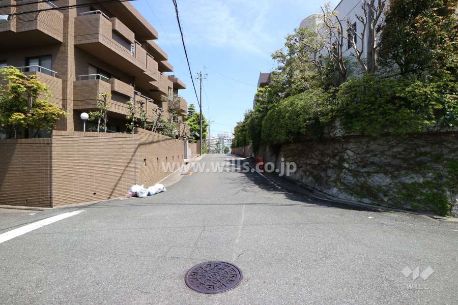 南東側前面道路(南西側から)