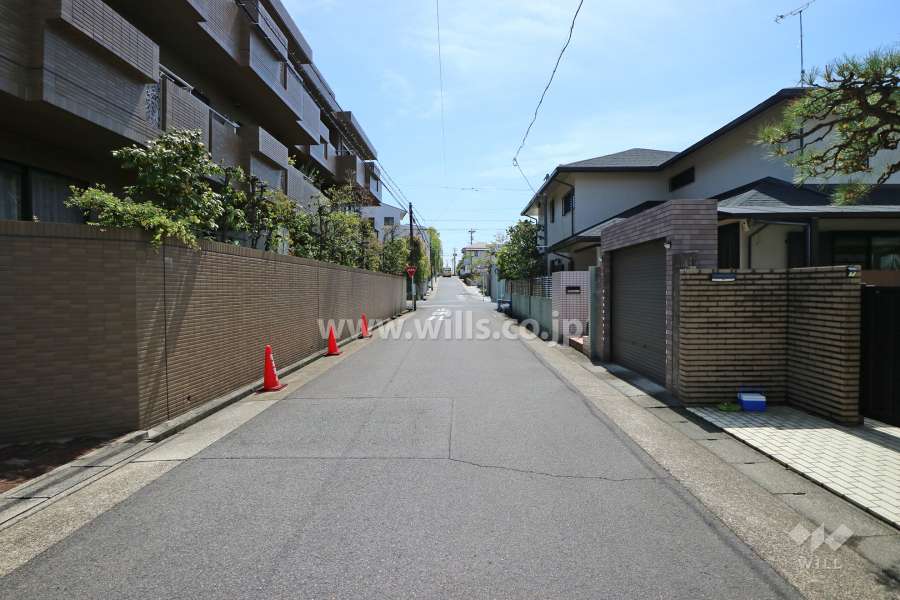 南西側前面道路(北西側から)