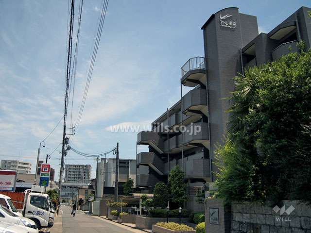 敷地北側の前面道路（西側から）