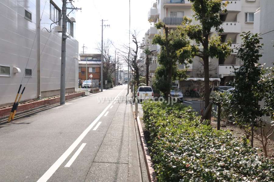 敷地東側の前面道路