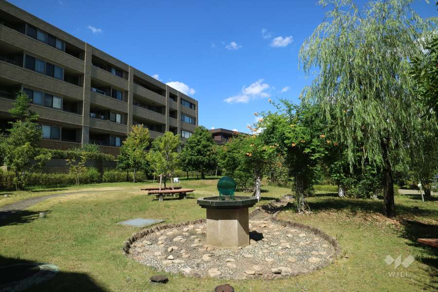 中庭