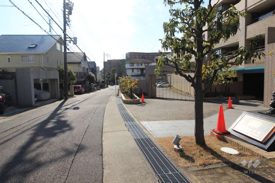敷地東側の前面道路