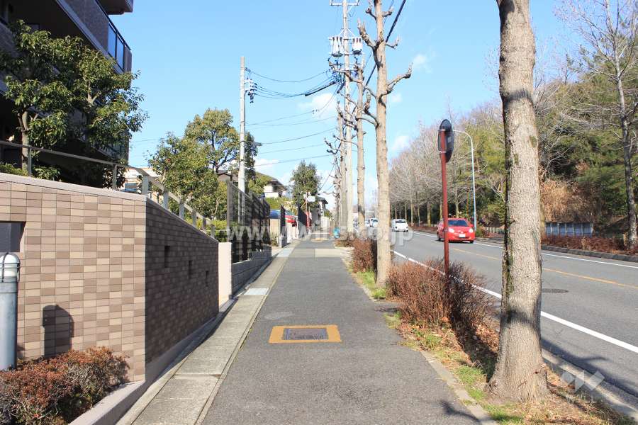 敷地東側の前面道路