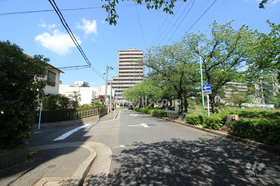 敷地東側の前面道路