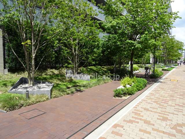 敷地南側の歩道部分