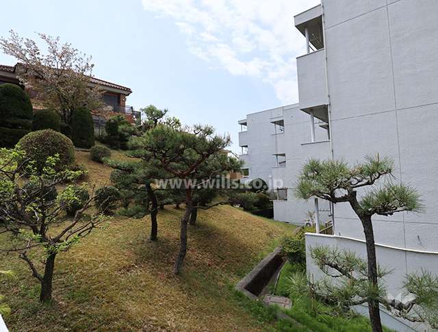 物件の南側植栽