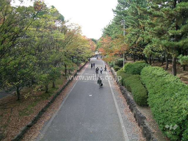 敷地南側を通る北大阪急行「緑地公園」駅と『服部緑地』を結ぶ緑道