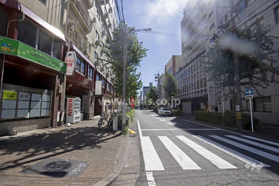 敷地西側の前面道路（北側から）