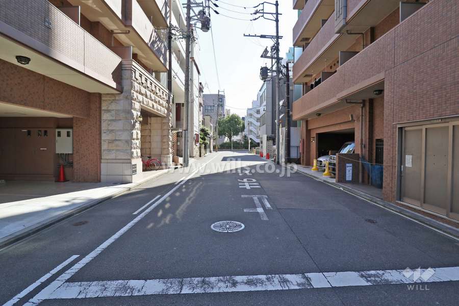 敷地西側の前面道路（北側から）