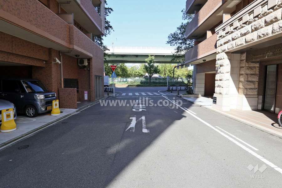 敷地西側の前面道路（南側から）
