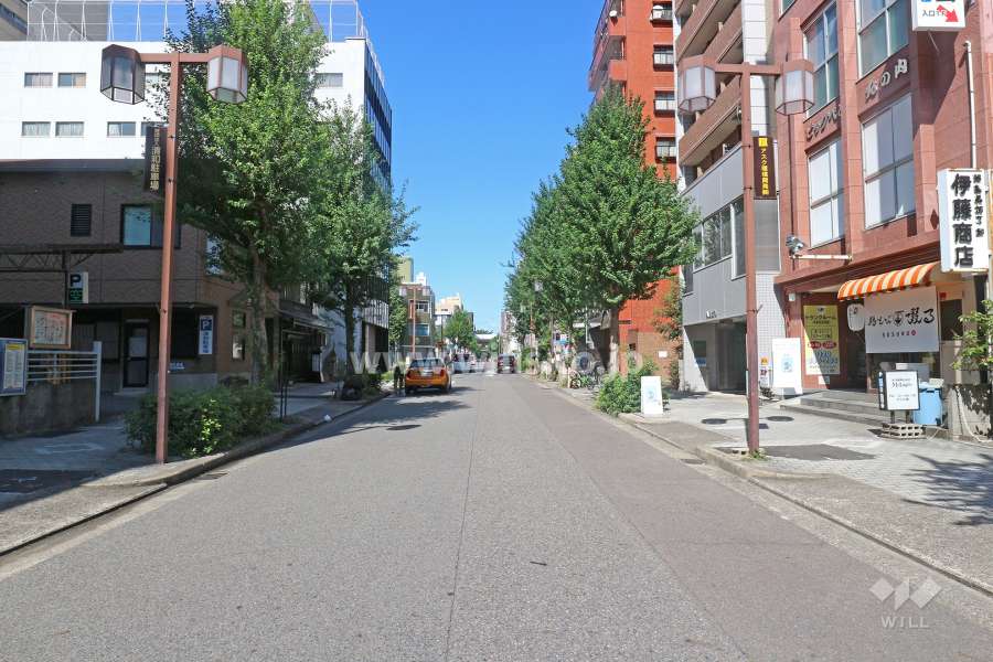 敷地西側の前面道路（南側から）