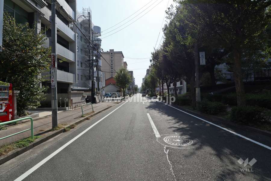 敷地西側の前面道路（北側から）
