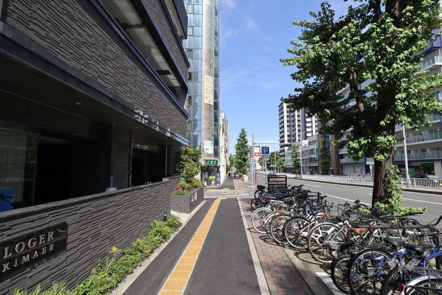 敷地南側の前面道路（西側から）