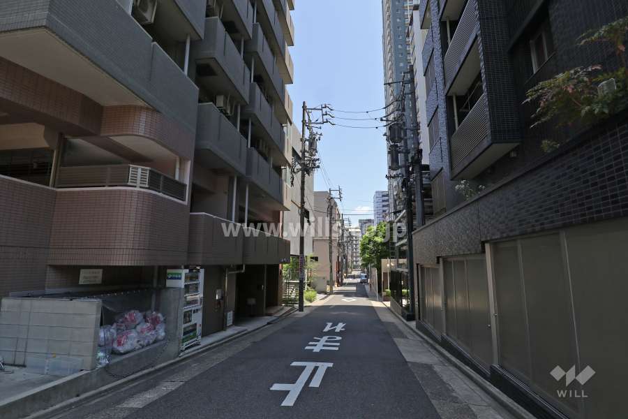 敷地北側の前面道路