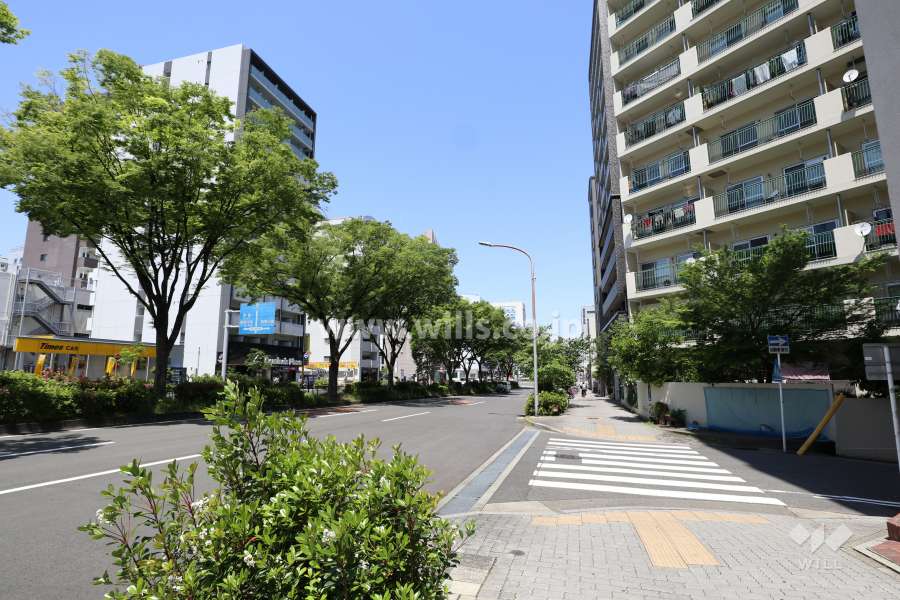 敷地西側の前面道路