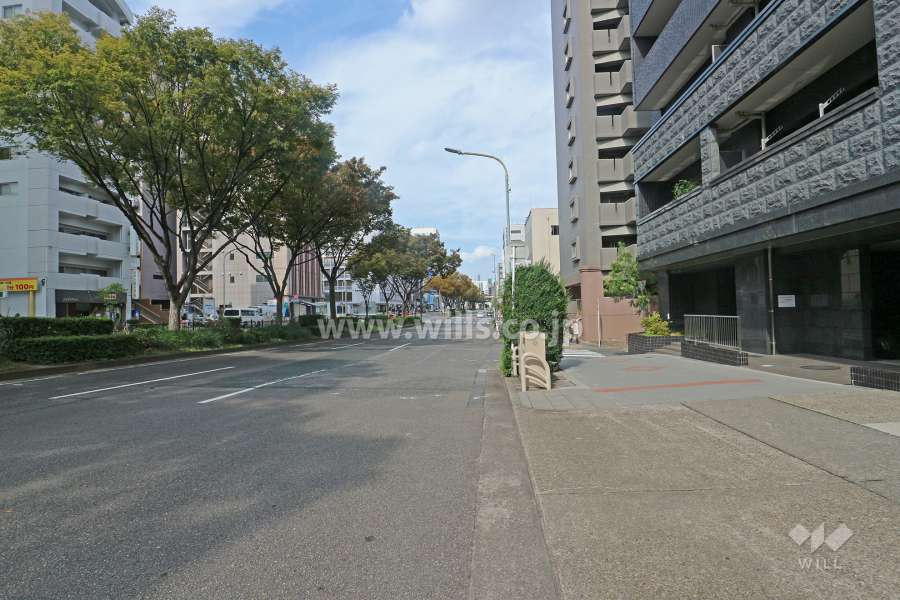 敷地西側の前面道路（南側から）