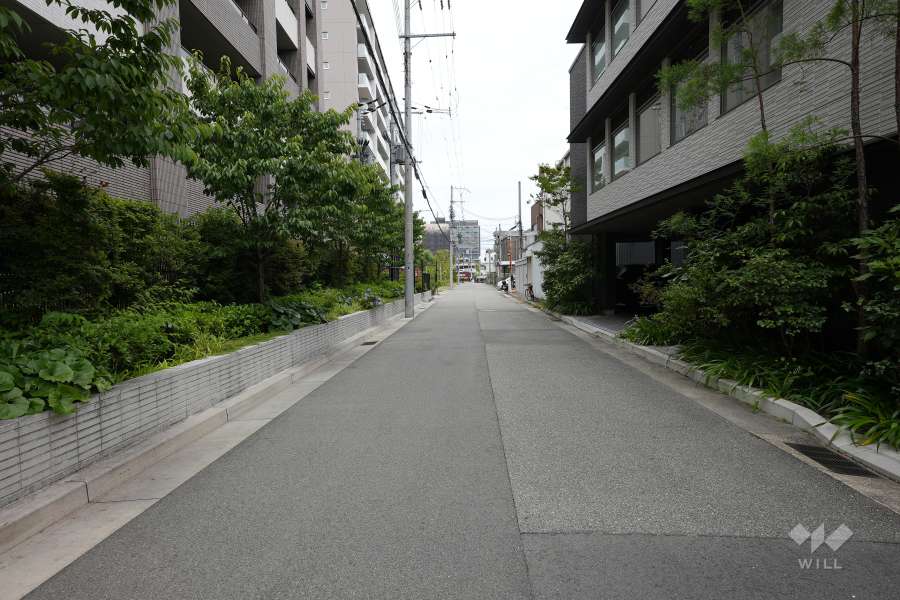 敷地西側の前面道路（南側から）