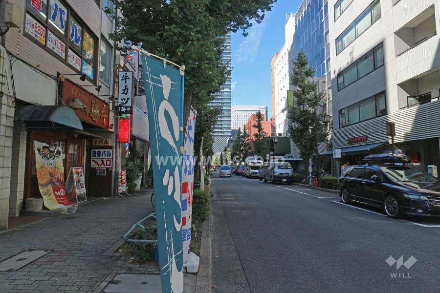 敷地北側の前面道路（東側から）
