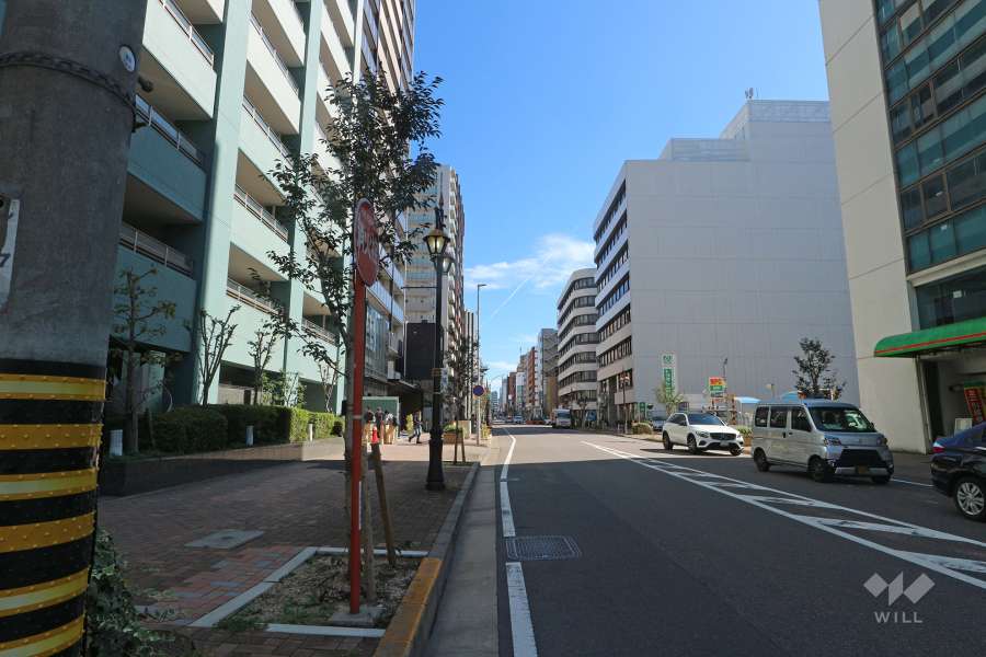 敷地南側の前面道路（西側から）