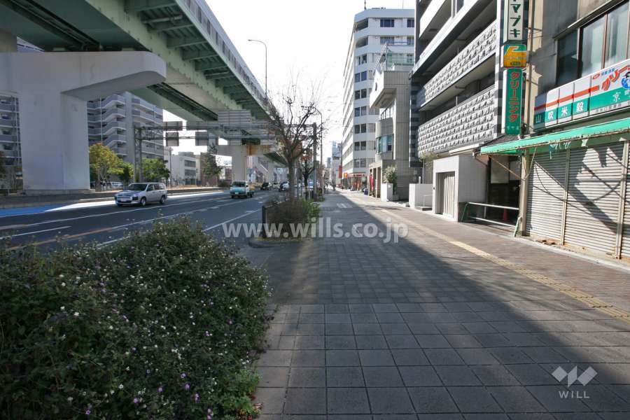 敷地東側の前面道路(北側から)