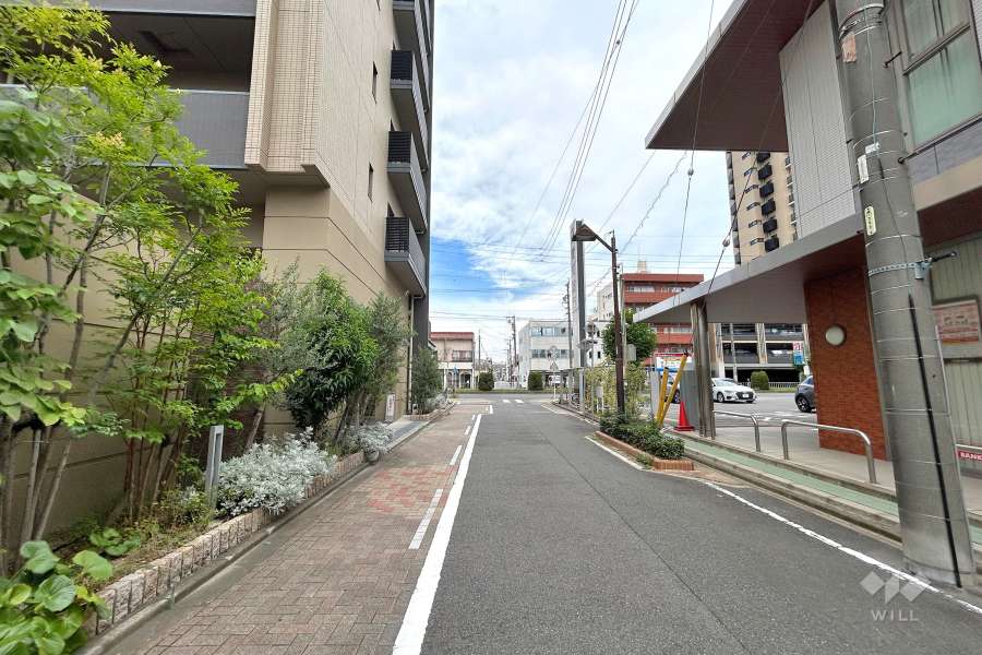 敷地東側の前面道路（南側から）