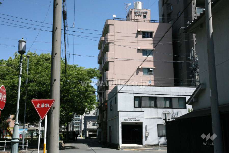 オリエンタルハイツ鶴舞の外観(南側から)