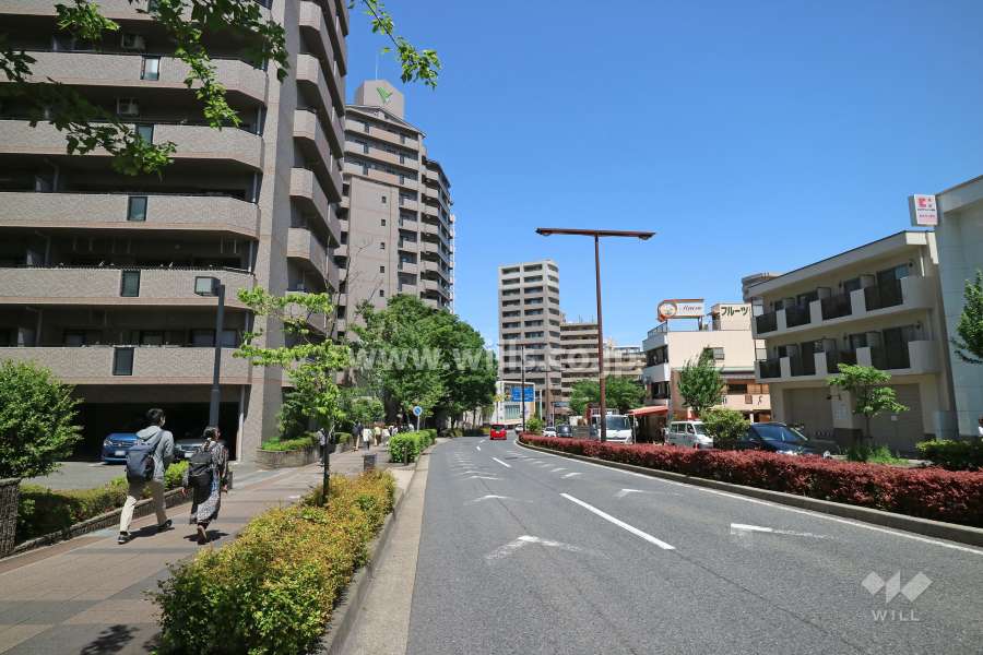 敷地東側の前面道路。二車線のバス通りです。