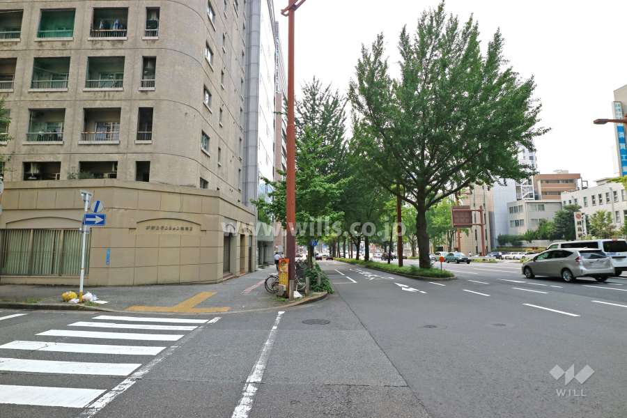 敷地北側には桜通が通っています。